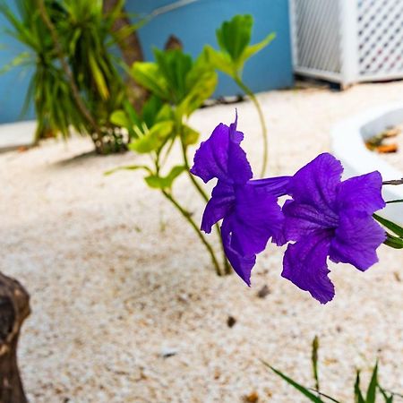 Saunders 3Bd Beach Cottage Nassau Dış mekan fotoğraf