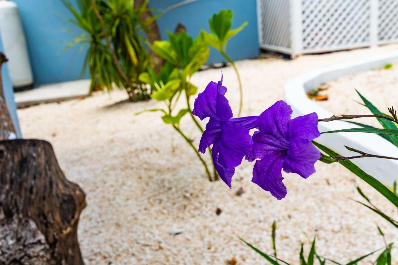 Saunders 3Bd Beach Cottage Nassau Dış mekan fotoğraf